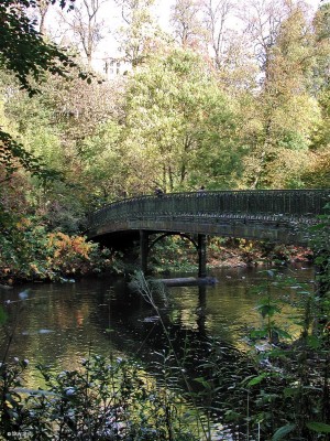 Footbridge, Botanic Gardens
Autumn colours refelcted in the River Kelvin at the Botanic Gardens in Glasgow.[url=http://www.streetmap.co.uk/map.srf?X=256950&Y=667545&A=Y&Z=115/] Map location. [/url]
