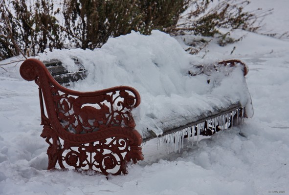 Fountain Park, Paisley
Probably not a day for sitting in the Park.  Fountain Park, Paisley.
