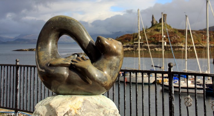 Kyleakin, Isle of Skye
The significance of the Otter here is that the Author of "Ring of Bright Water", Gavin Maxwell, lived not far from here in the lighthouse keepers cottage on Eilean Ban.  The 15th century Castle Moil is in the background.  Since this photo was taken in 2014 a lightening strike brought down part of the structure on the left. [url=http://streetmap.co.uk/map.srf?X=175445&Y=826419&A=Y&Z=115/] Map location. [/url]
