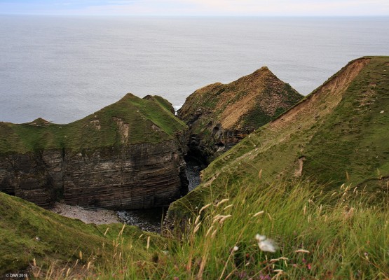 Wester Clett, Caithness
Sometimes referred to as Puffin Cove or Puiffin Island.  The pyramid shaped stack towards the right in the background is used for nesting by Puffins, but not in August, when this photo was taken.  The top of the stack is peppered with nesting burrows.  [url=http://streetmap.co.uk/map.srf?X=291943&Y=965232&A=Y&Z=115/] Map location. [/url]
