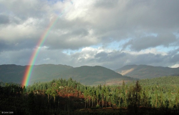 Rainbow over Achray Forest
[url=http://www.streetmap.co.uk/map.srf?X=252445&Y=704614&A=Y&Z=120/] Map location. [/url]
