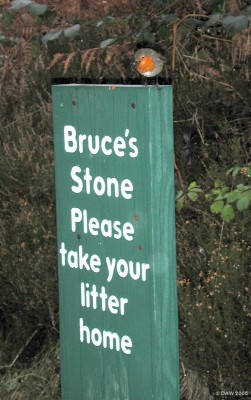 Robin, Bruce's Stone, Glen Trool
Although the rhyming sign is slightly amusing the star of the photo is the Robin.  I have a theory that Robert the Bruce must have been a bit of a 'poser' since there seem to be stones everywhere that he allegedly leant on.
