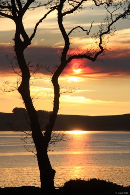 Spooky Sky, Largs
A layer of smoke from a grass fire on the Island of Bute hides the sun as seen from Largs.
