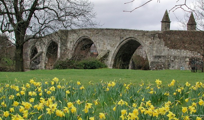 Stirling Bridge, Stirling
Built around 1500 it was at that time the lowest crossing of the River Forth and remained so for another 400 years.  In 1745 the southernmost was blown up by General Blackney to prevent Highlanders from crossing.   There was an earlier wooden structure here in 1297 when William Wallace defeated the English at the Battle of Stirling Bridge.  . [url=http://www.streetmap.co.uk/map.srf?X=279782&Y=694556&A=Y&Z=115/]Map location [/url]
