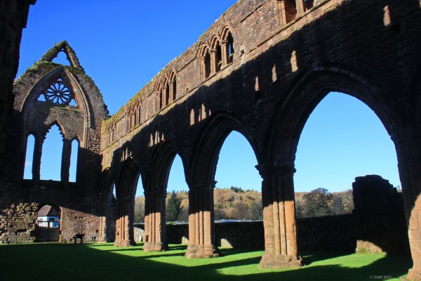 Ruins of Sweetheart Abbey
Shadows from the low winter sun at Sweetheart Abbey, New Abbey.
