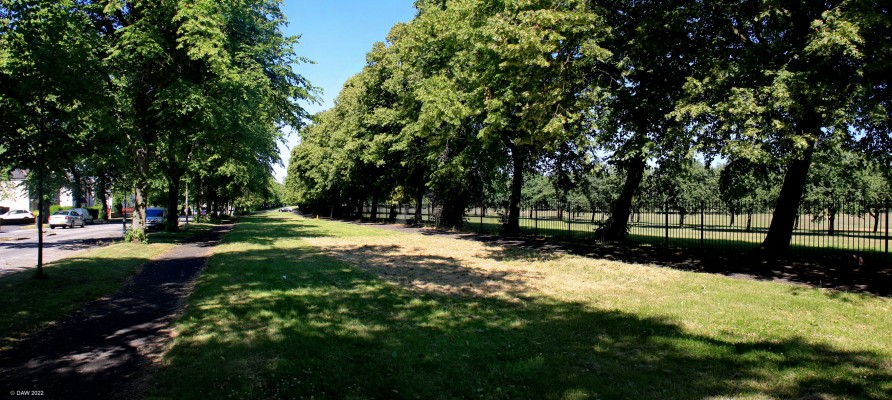 Former tram line, Moss Park Boulevard
This strip of grass that runs parallel to Moss Park Boulevard was the route of the old tram lines. Glasgow and the surrounding area had an extensive tram network, some of it on tracks separate from road traffic like this one.  From 1949 to 1962 the tram network was gradually phased out, a decision that today seems short sighted. [url=http://streetmap.co.uk/map?X=254735&Y=663407&A=Y&Z=115/] Map location. [/url]
