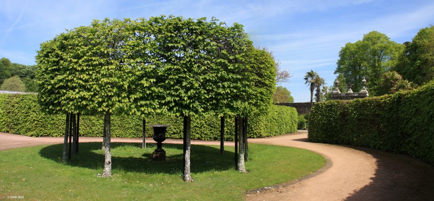 The walled garden, Culzean Castle
