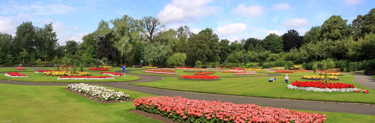 Victoria Park, August 2009
The main planting area at Victoria Park.  [url=http://www.streetmap.co.uk/map.srf?X=254334&Y=667114&A=Y&Z=115] Map location. [/url]
