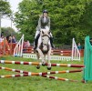 20112C_Horse_jumping.jpg
