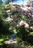 Arduaine_Gardens2C_Argyll___Bute.jpg