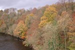 Autumn_Colours,_River_Clyde,_Bothwell.jpg