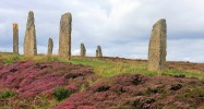 Ring_of_Brodgar_Stones.jpg