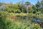 The_Pond2C_Achamore_Gardens2C_Gigha.jpg
