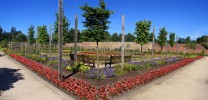 rouken_glen_walled_garden2C_2018.jpg